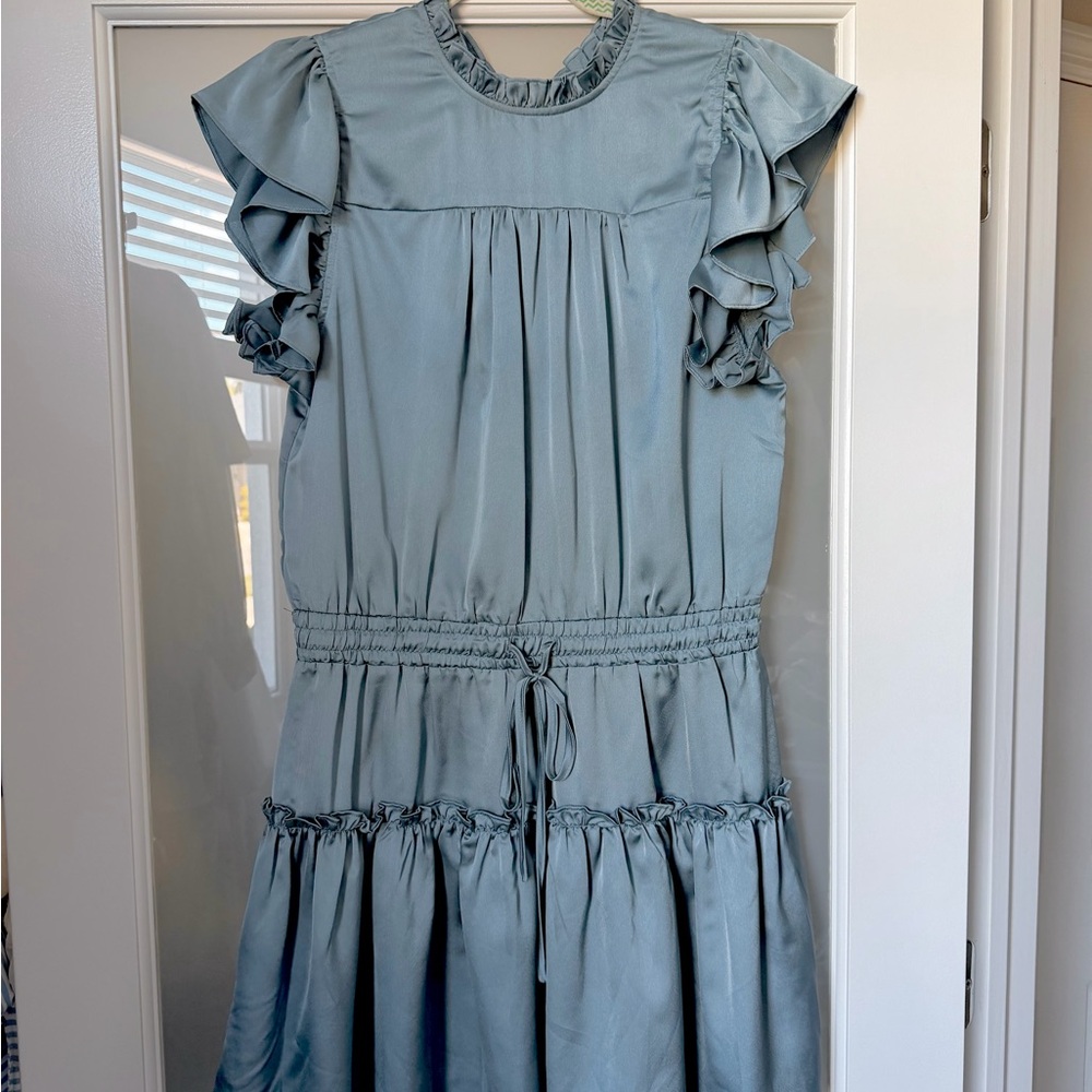 Pinch Blue Ruffled Dress